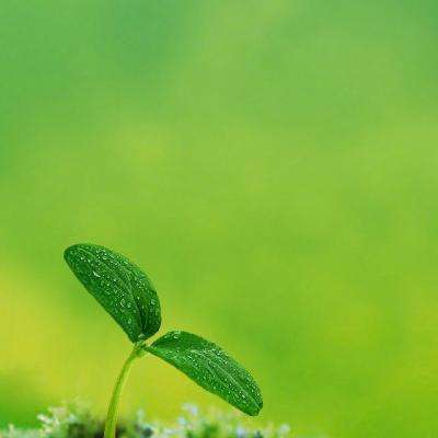 澳门捕鱼平台网页游戏在线app官方入口