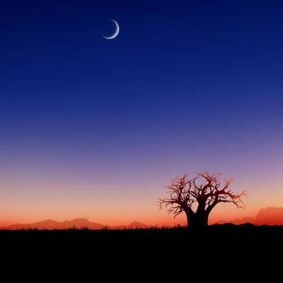 半岛综合娱乐app截图