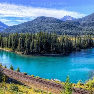 炸金花单机游戏手机app下载截图